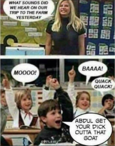 image_C0B58714-FE60-4DAB-8965-E9B499F60FEF