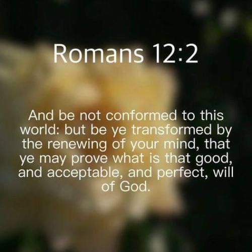 678360f7-2324-4085-9258-0137920e3c59