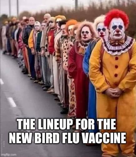 IMG_20240619_002332_092