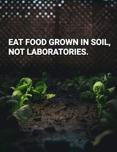 48b4ab40-fd7c-4d14-bfb7-8de91c15cc0d