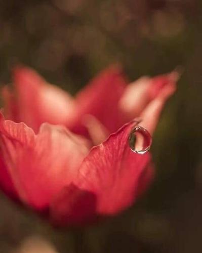 img-a5345ae4