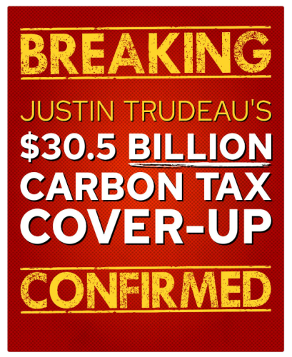 carbon tax  coverup