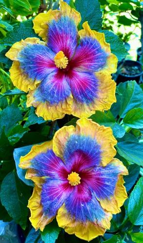 20240621_135036