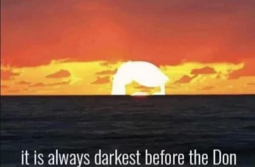 image_91C1BFA7-8D7E-421F-90CC-8AC2165068A9