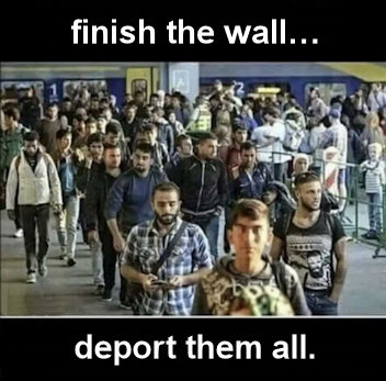 illegal immigration393
