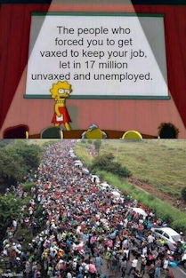 illegal immigration394