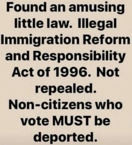 ILLEGAL VOTE DEPORT