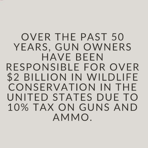 IMG_20240610_043140_407