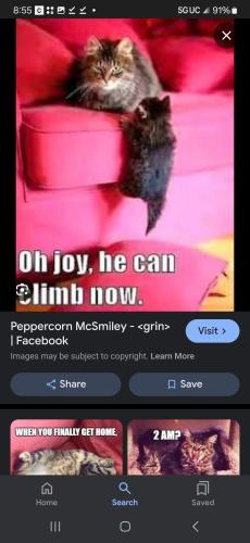 Screenshot_20240601_205514_Google