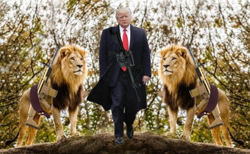 LIONS & TRUMP