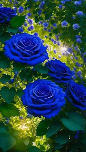img-2659805b