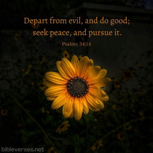 psalms-34-14