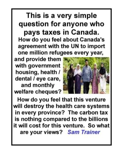 pays taxes