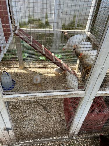 0F72554D-5534-462C-8761-C867864469C1