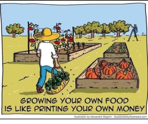 431313875_814056144097471_7318174549247523337_n