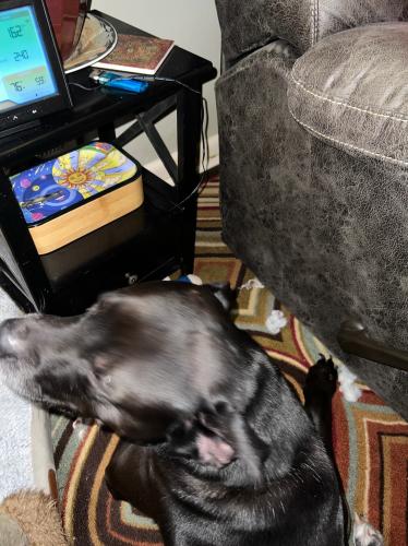 EB18A264-EC89-493F-84C4-FAA981AA542F