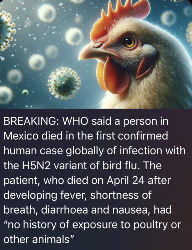 photo_2024-06-05_21-30-22