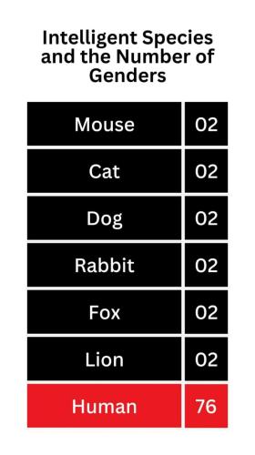 image_E75387EE-4D54-4841-843D-440DD3EAB639