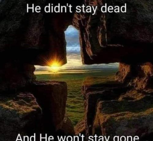 0d42af83-7198-44bb-aefe-7d6d09770d79