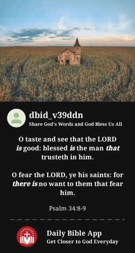 2024-06-281719606753229