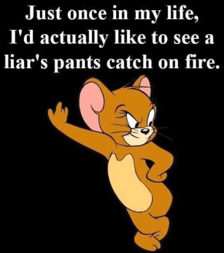 FB_IMG_1718339023963