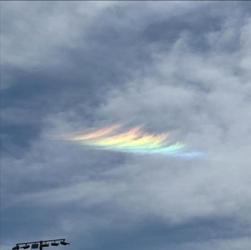 f1236862-b487-493b-8213-4eca34272d96