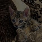 317389205_475350671152480_4662996653369476021_n