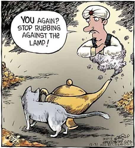 447779861_122176379666064828_9162236515476164133_n