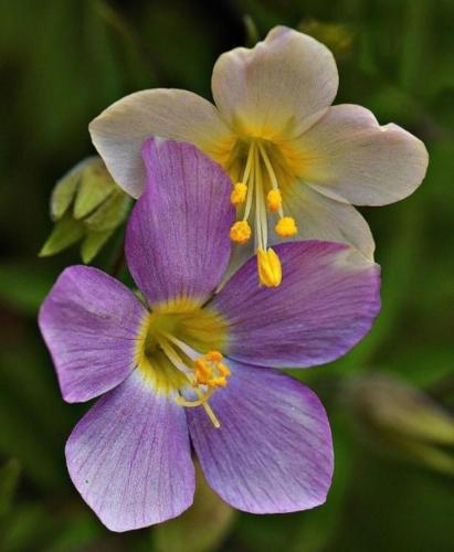 img-f34896bd