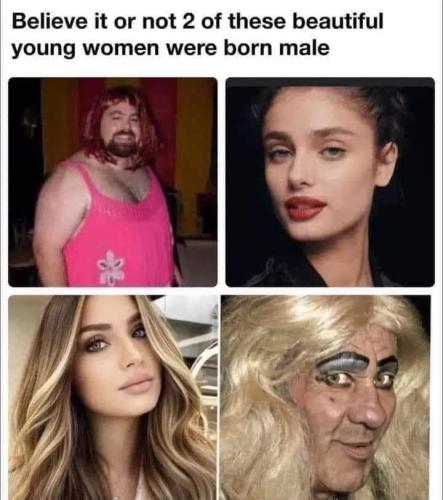 FB_IMG_1717631634405