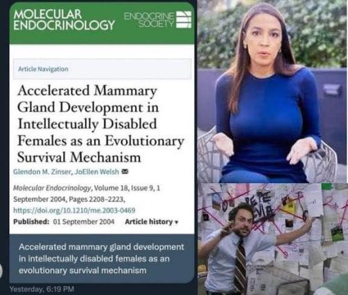 449223788_1002609545207608_767083700902223578_n