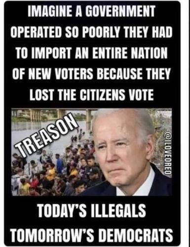 illegals