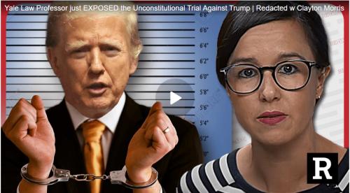 Yale Law Professor screenshot