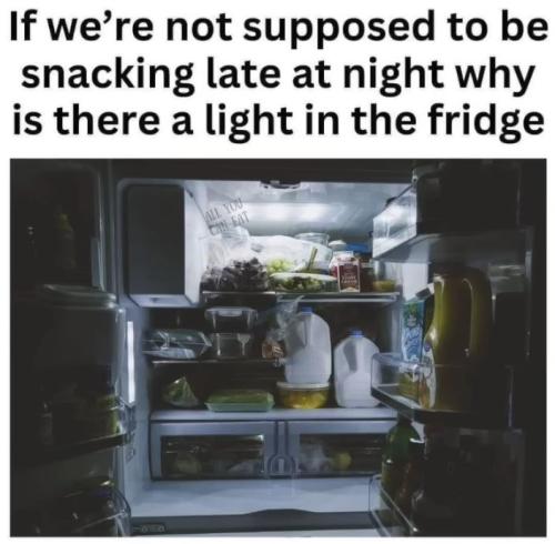 fridge