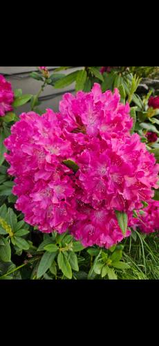 Screenshot_20240612_202902_Gallery