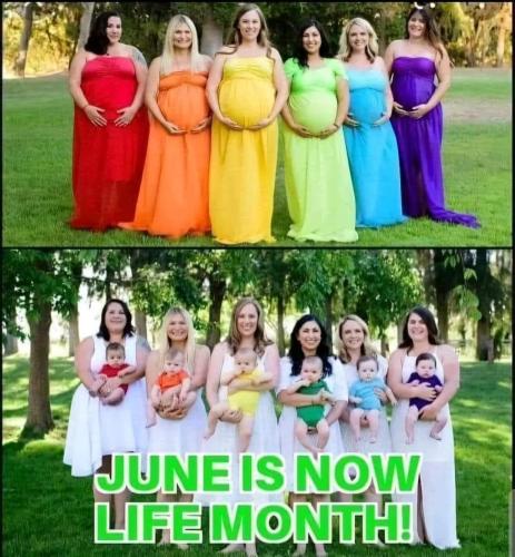 874A05F7-3AE1-495B-8155-FAD2C9217B5E-63026-00004A6A258943BC