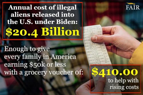 illegal alien billions