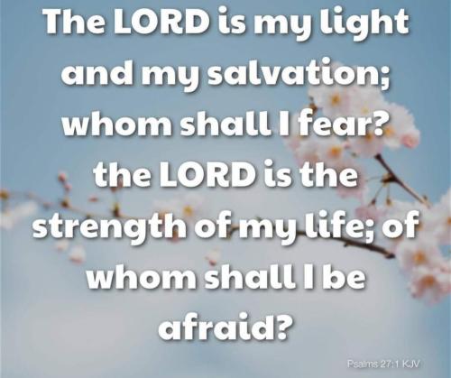 35eab0de-c59a-4b78-bafd-1606217403c1