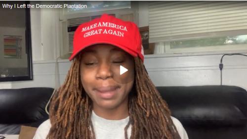 Democratic Plantation screenshot