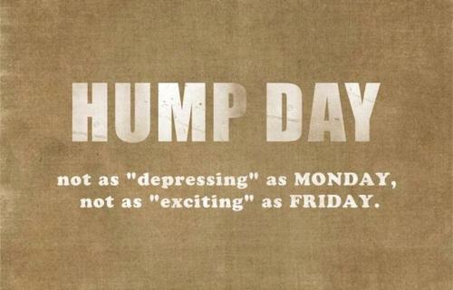 1-Hump Day