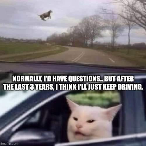 448179414_122155049960162414_224606928500057577_n