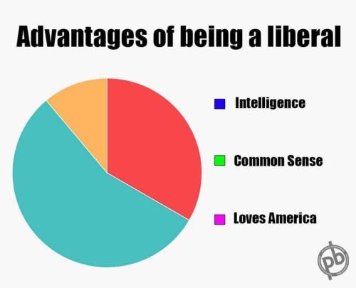 IMG_20240608_211914_495