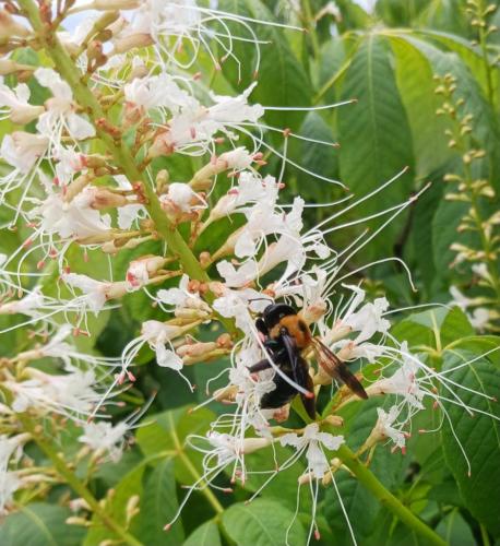 cdf80f70-49f6-460d-bf6e-2feb7f91d633