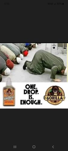 Screenshot_20240629_055530