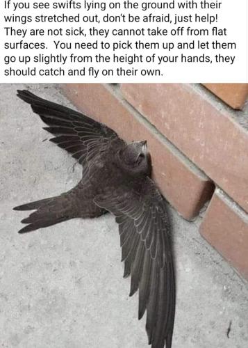 20240606_165949