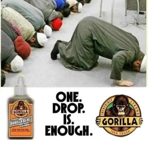 One drop is enough Gorilla glue.960px