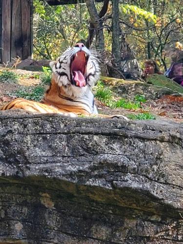 05:37:58 GMT-0400 (EDT)