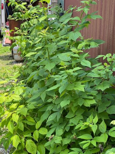 03F01473-FBA4-4C8E-BFA0-A0736B1A9BBF