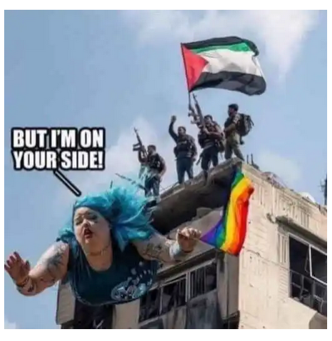 image_7E04BAA7-D63F-4CB9-BB98-CB47C6C8A046