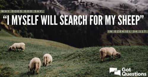 I-will-search-for-my-sheep-595268209